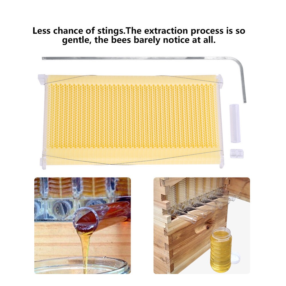 Cedar Wood Beekeeping Beehive Complete Bee Set with 7 Auto Honey Comb Frames New