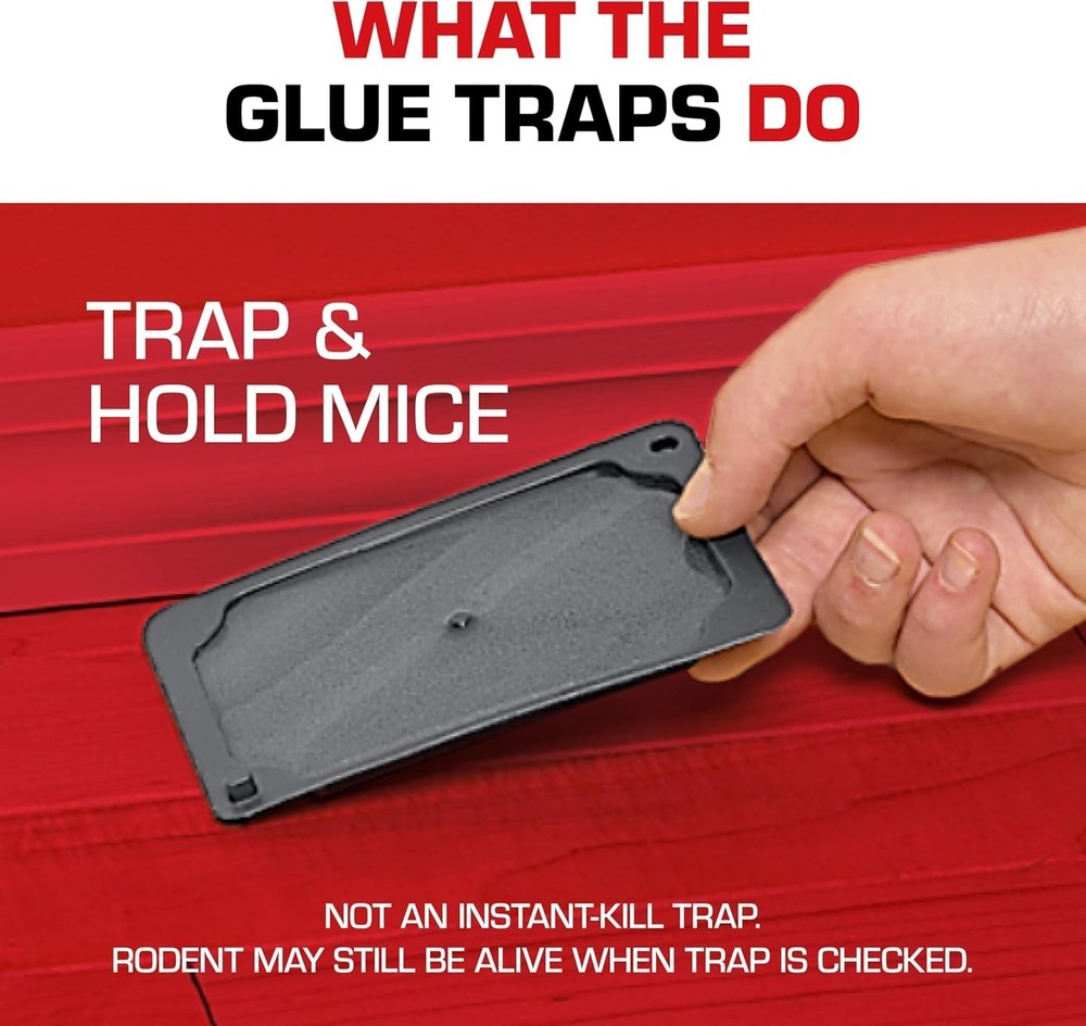 Ready-to-Use Eugenol Mouse Glue Traps – 6 Disposable Pest Control Solutions