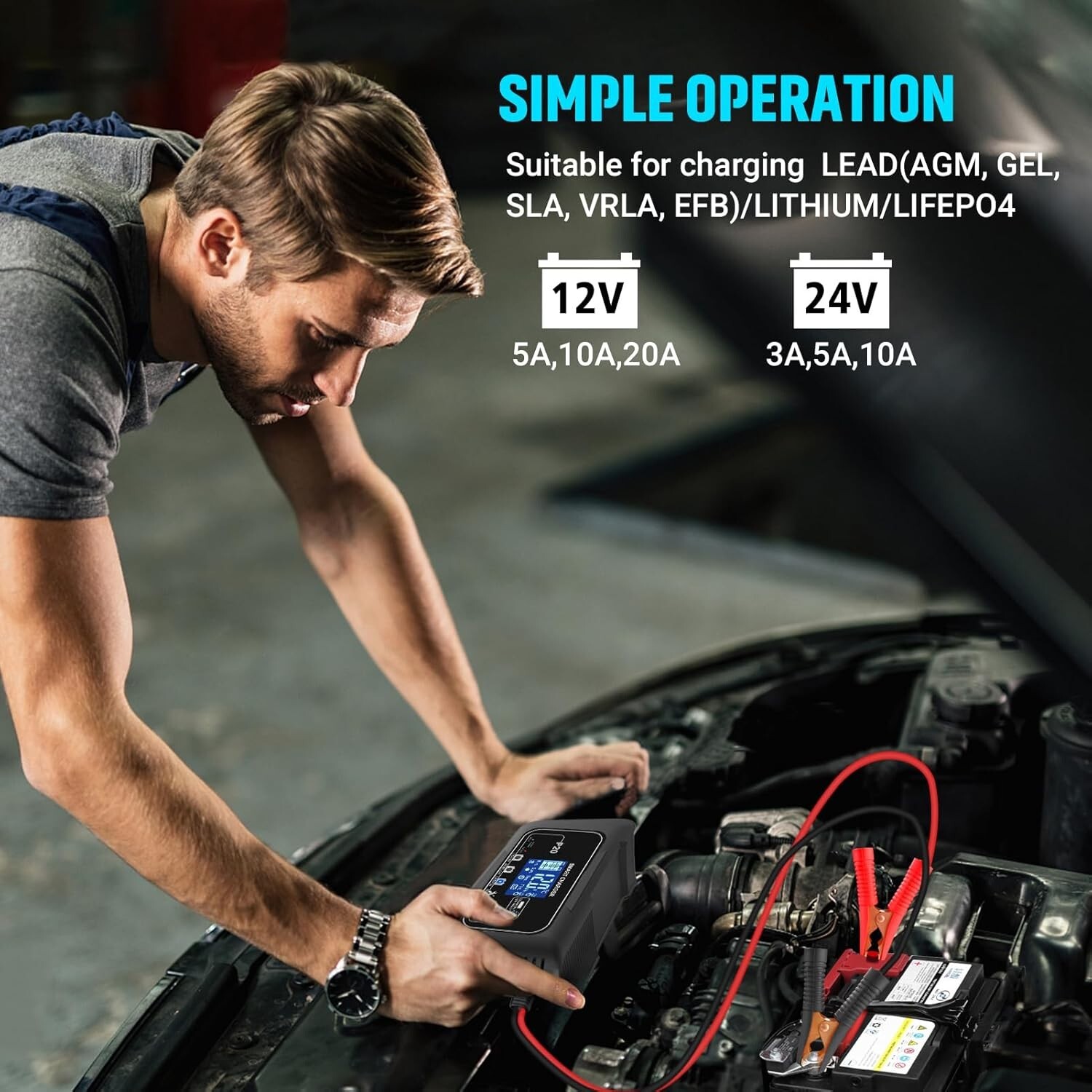 20-Amp Smart Battery Charger,12V/20A and 24V/10A.Lithium,Lifepo4,Lead-Acid(AGM/G