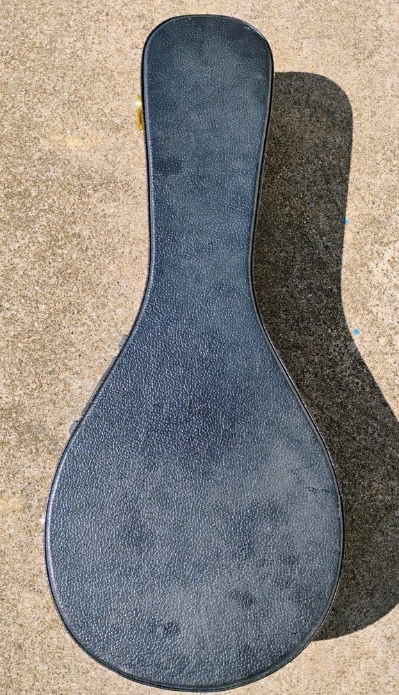 1940's Silvertone Mandolin w/HSC! -LL