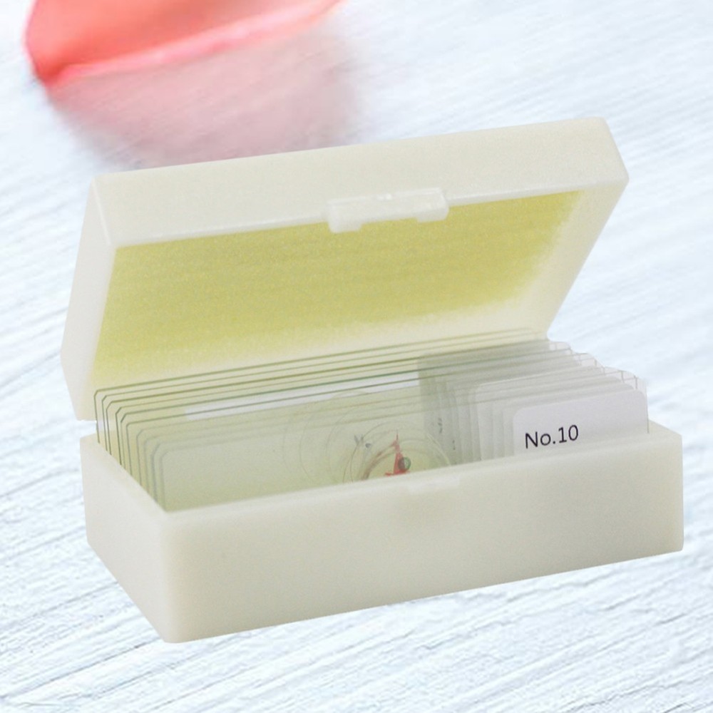10 PCS/Set Microscope Specimens Slide Biology Sample Slides Glass Prepared