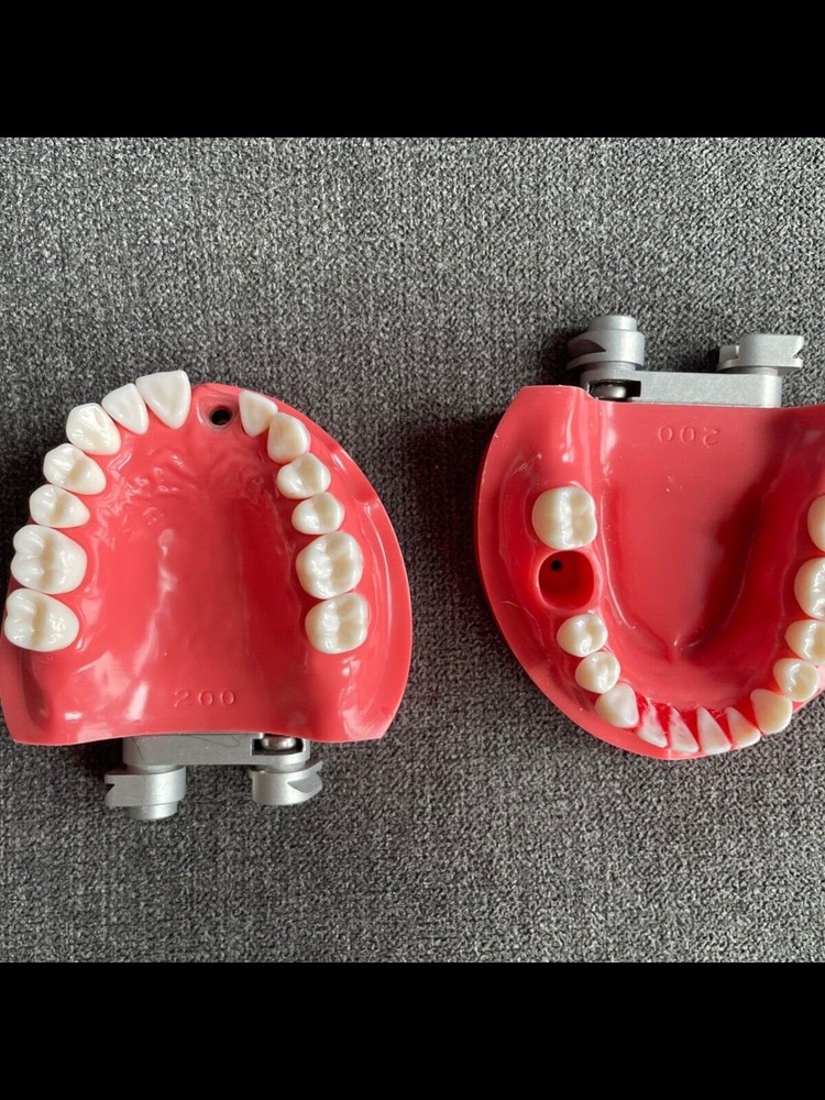 Dental Implant Dentoform (Used in Simulation Lab)