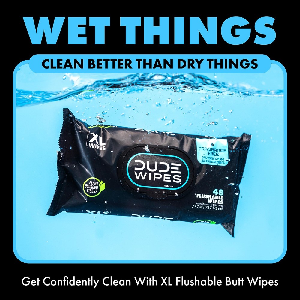 DUDE Wipes - Flushable - 6 Pack, 288 48 Count (Pack of 6), Multi