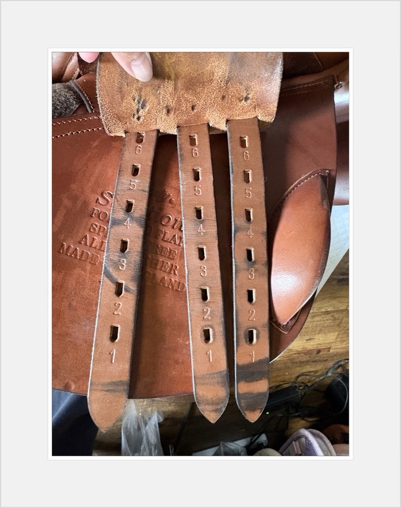 County Solution Jump Saddle. 17” M.