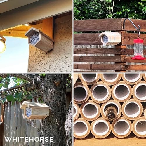Premium Cedar Bee House - 6” Long Replaceable Tubes - Perfect for Mason Modern