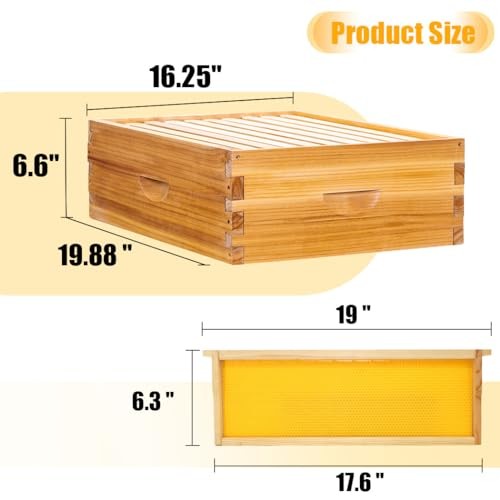 10-Frame Beehives Starter Kit – Complete Langstroth Hive with 1 Deep 2 Layers