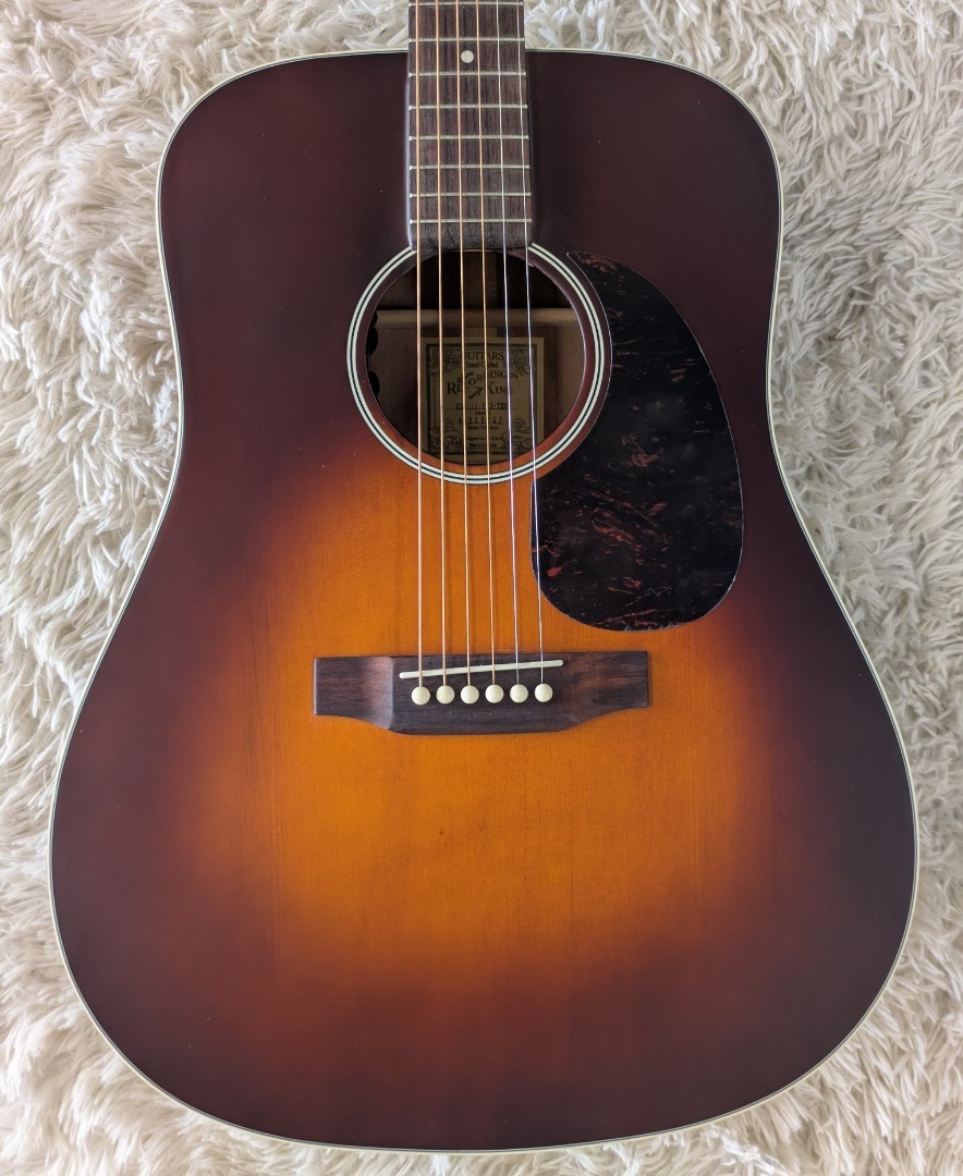 Recording King RDS-11-FE3 Dreadnought Acoustic Electric Guitar - #