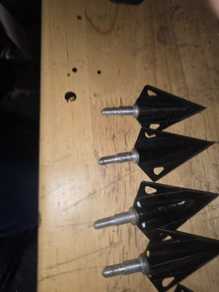 Bear Razor Head Magnus Fixed Blades