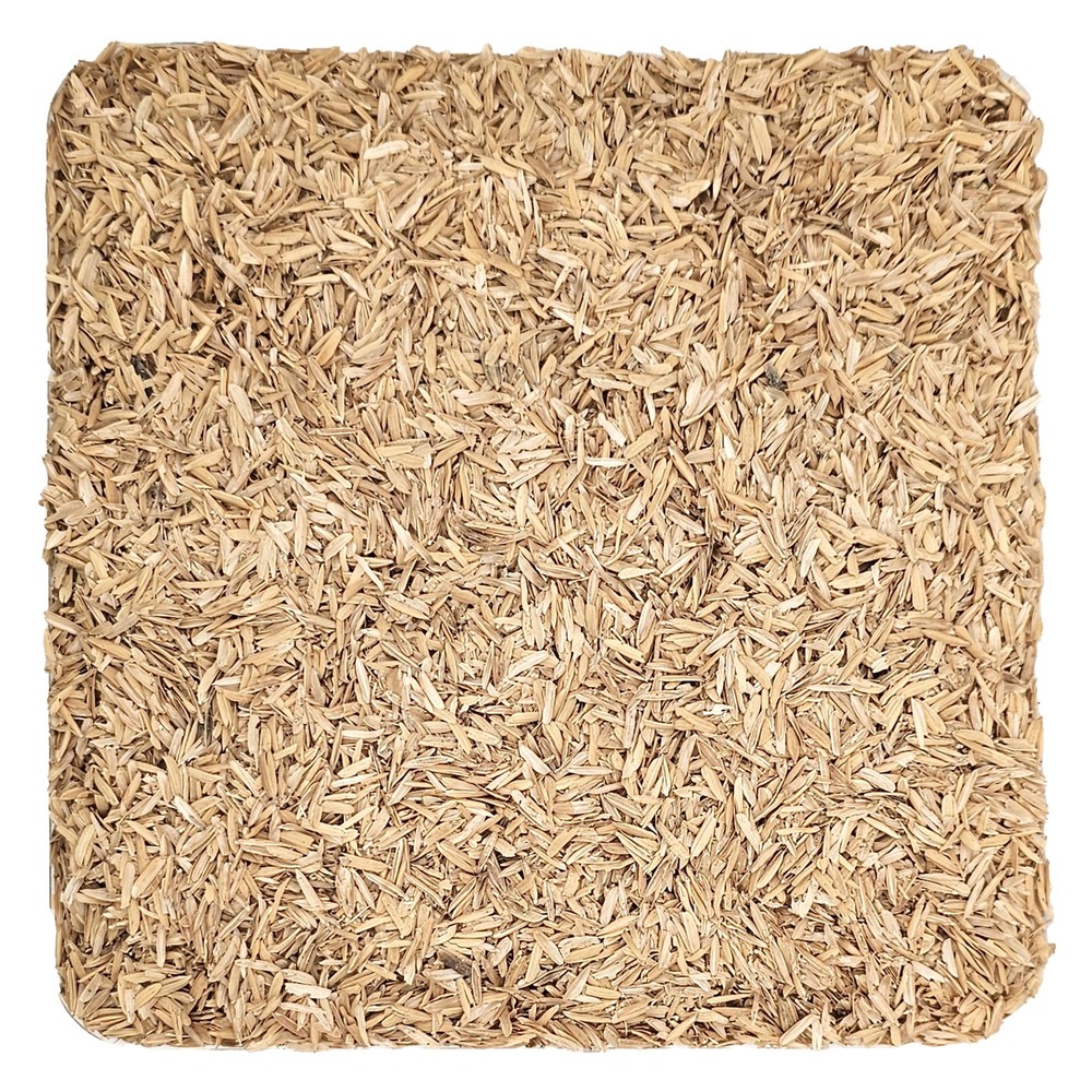 Rice Hulls 10 lb for Home Brew Beer Making