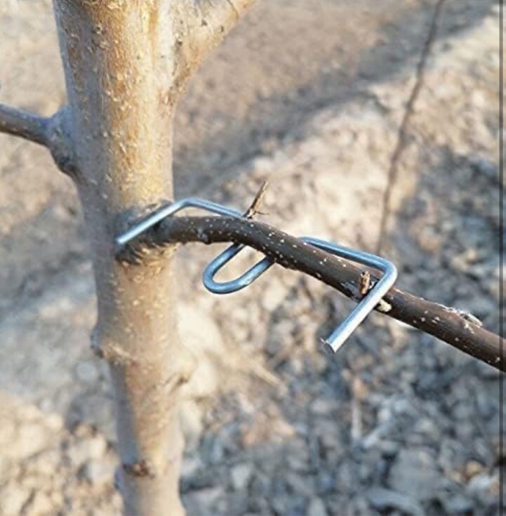 Fruit Tree Branch SpreaderTree Branch Limb Spreader Bonsai Branch Training Mo...