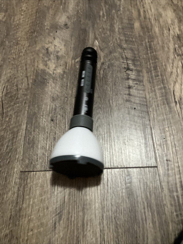 Karaoke Microphone