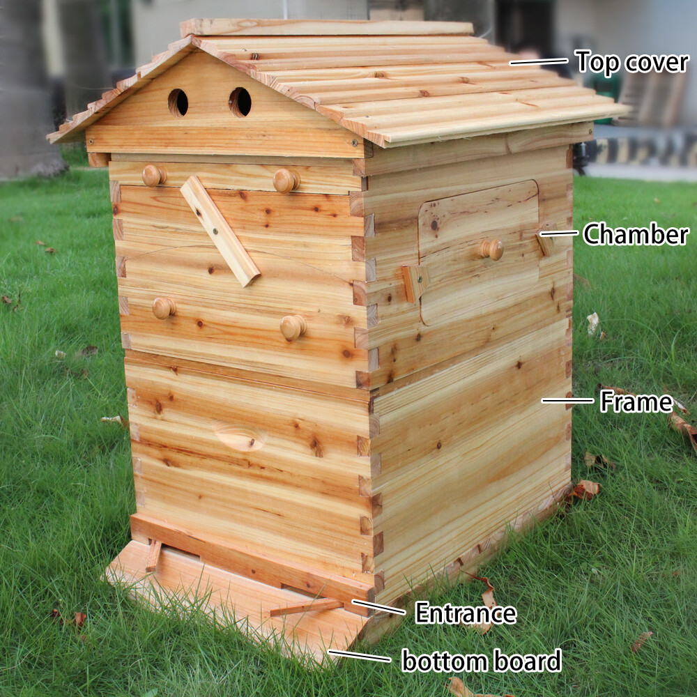 Auto Shed Bee Hives Langstroth Bee Hive Beekeeping Boxes with 7x Bee Hive Frames