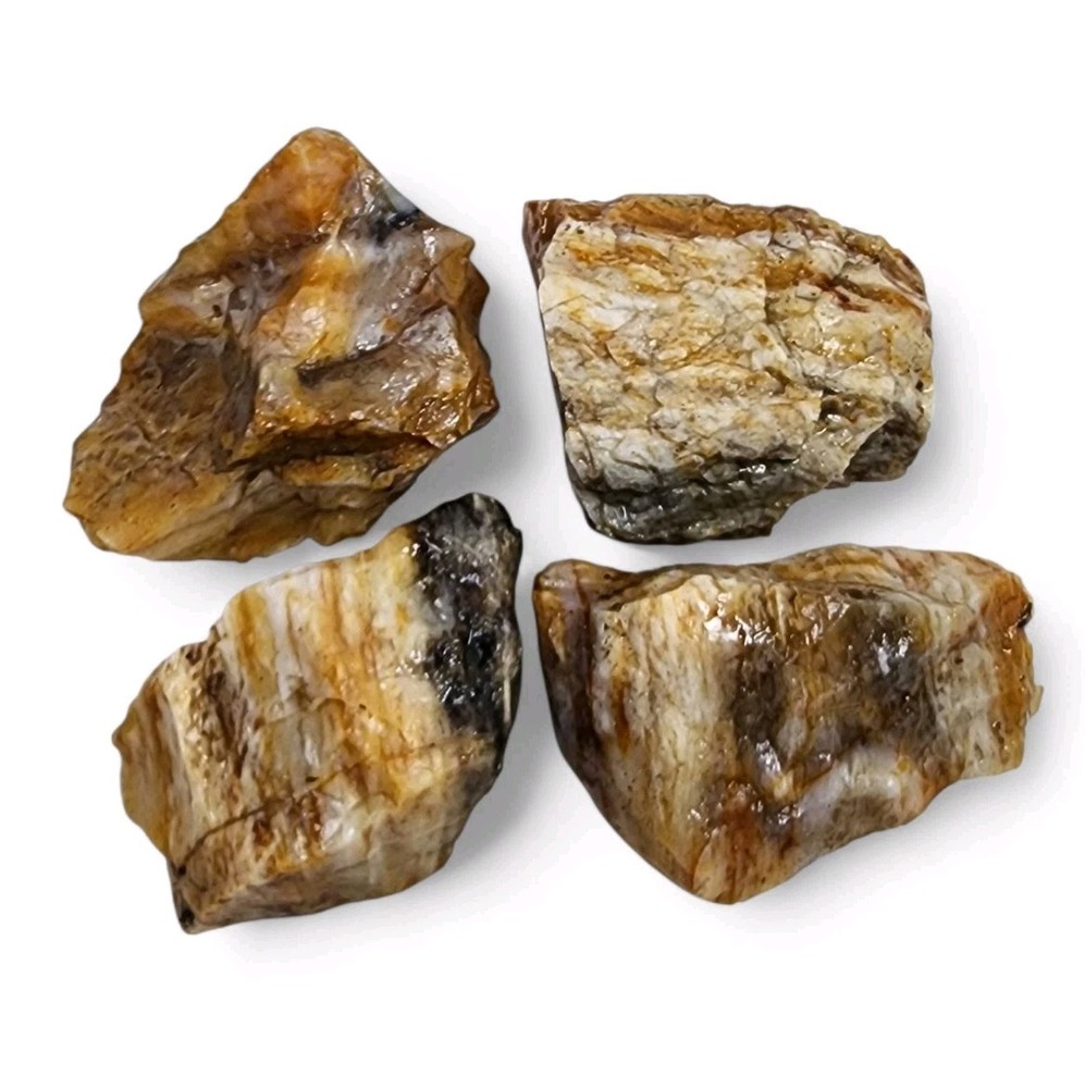 Opalized Petrified Wood Rough Pieces 150.7 grams.