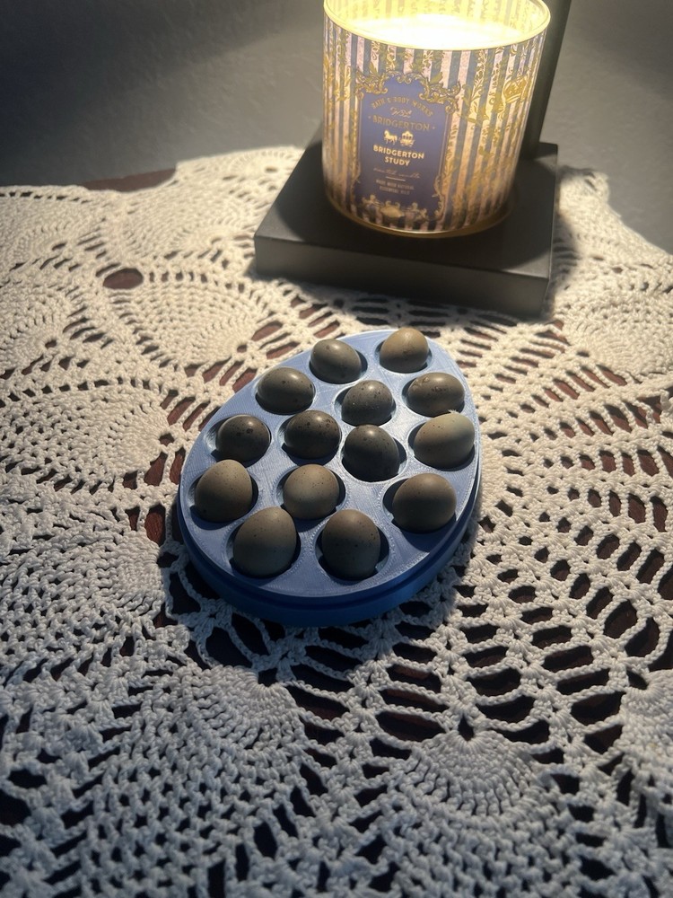 Button Quail Hatching Eggs 16 Eggs