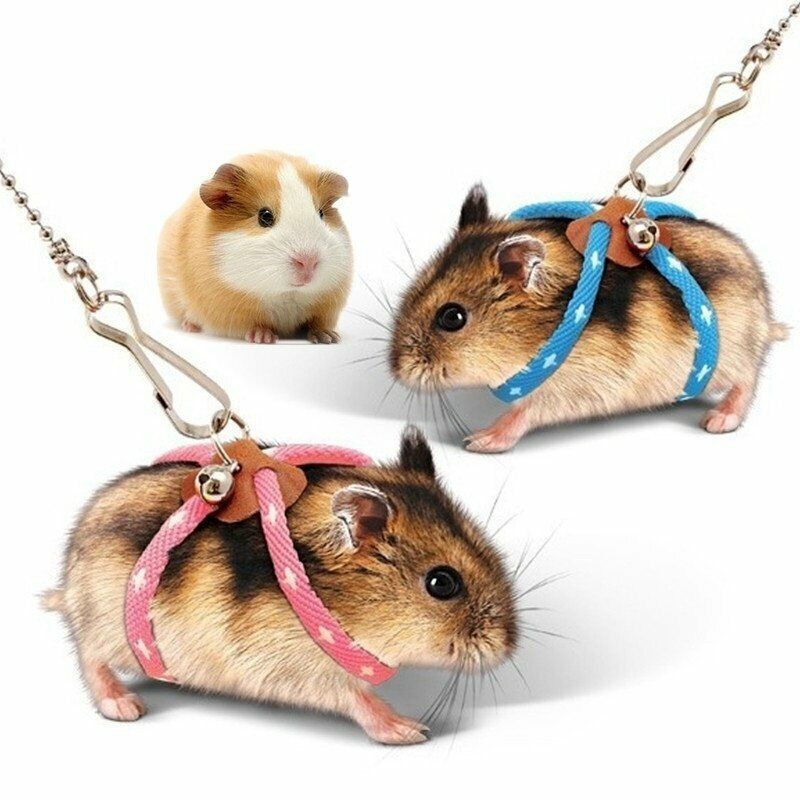 Adjustable Soft Harness Leash New Small Pet Parrot Mouse Hamster Ferrets Rat
