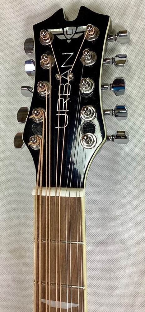 10 string mandocello, cittern prototype conversion of a dreadnaught guitar