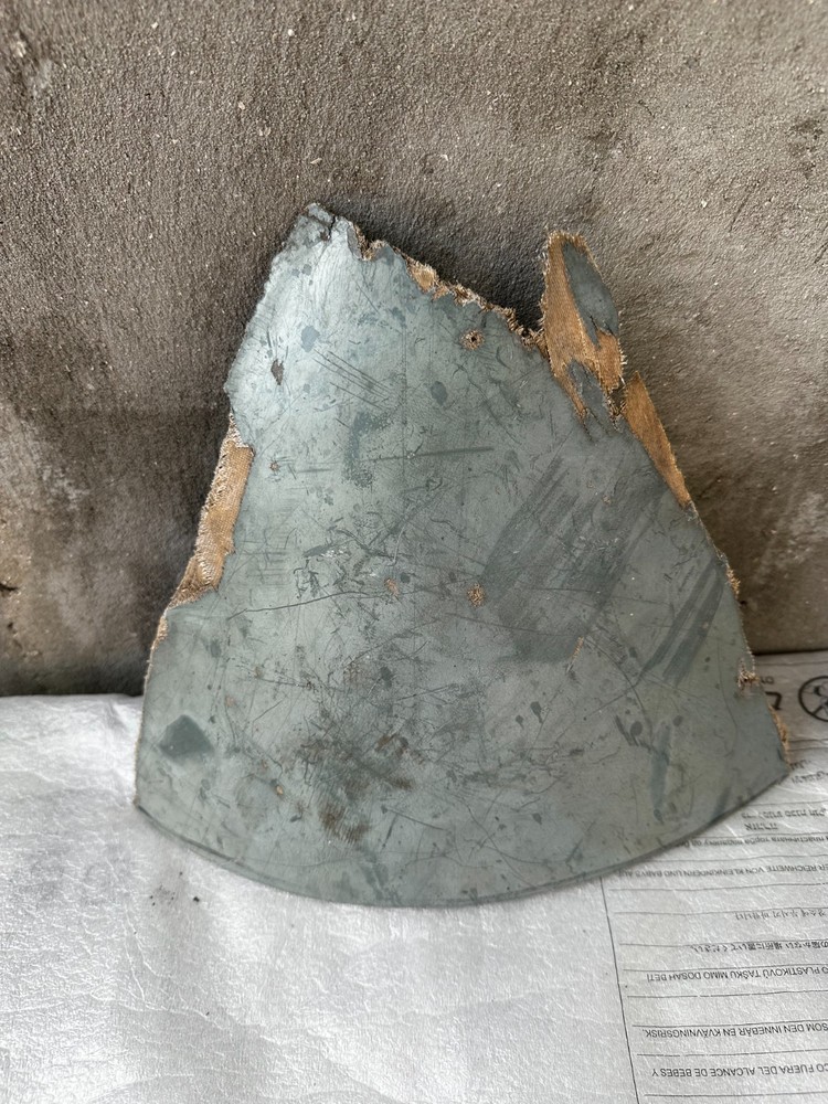 Nose section  ALLIGATOR