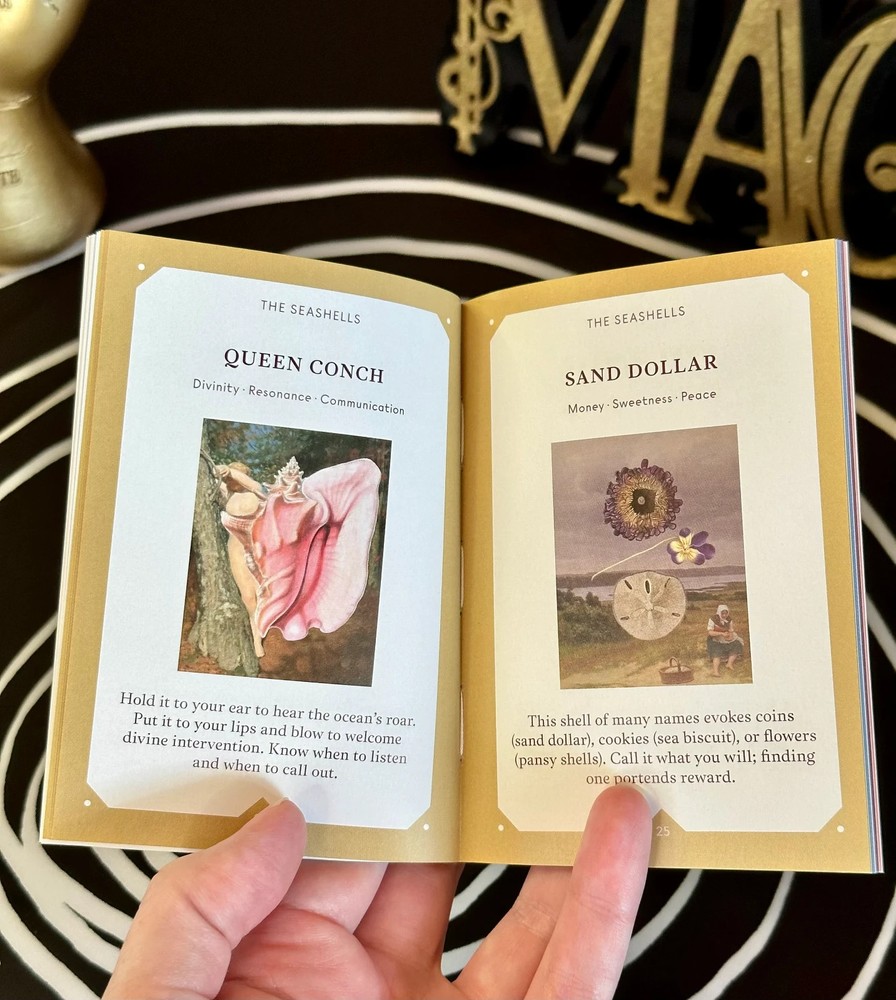 The Seashell Oracle Deck 44 Card Deck for Divination by Broccoli