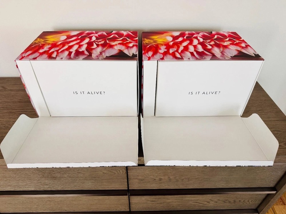 Devialet Phantom 1 108db Matte Black Pair, Original Packaging, 2 Remotes