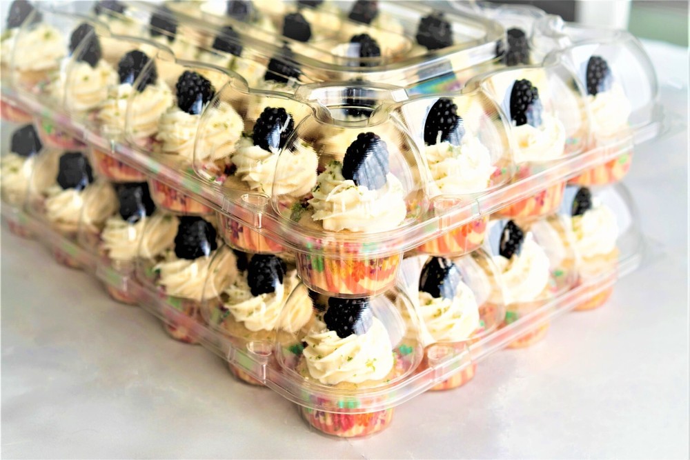 CUPCAKE CONTAINERS STACKABLE 24 COMPARTMENT -10 PACK CUPCAKE BOX CARRIER HOLDER