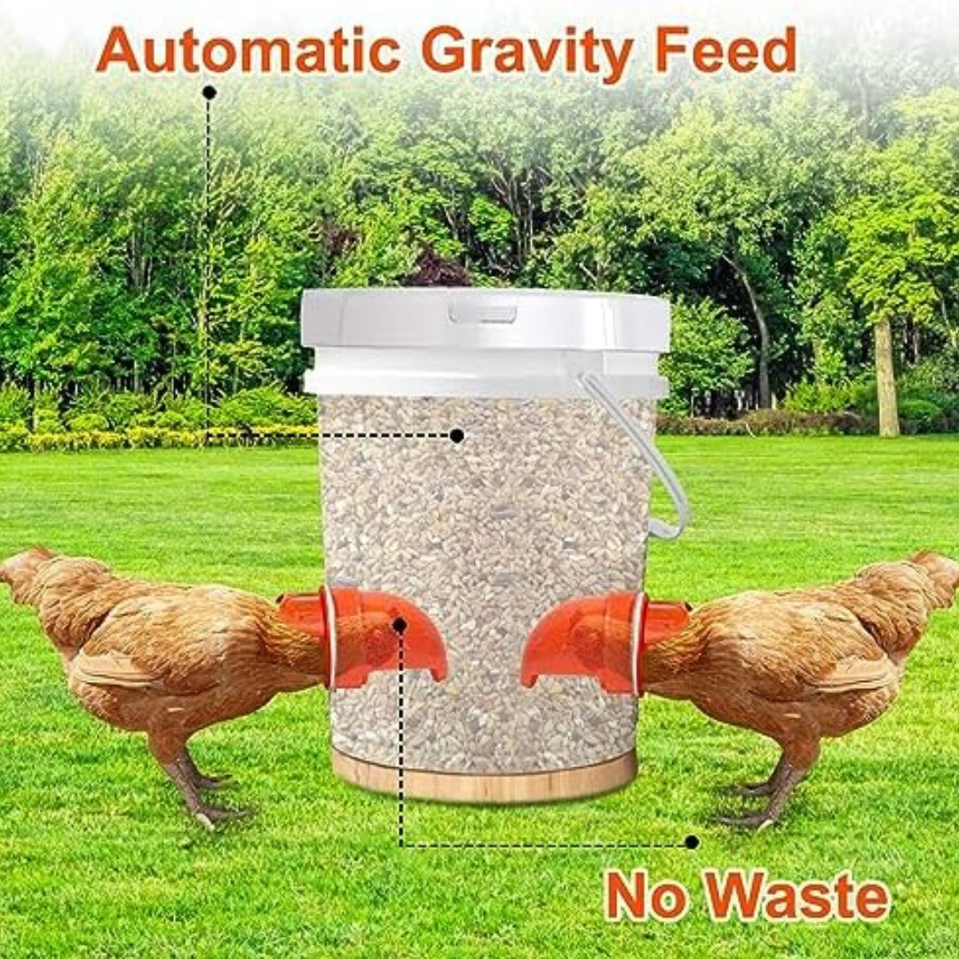 Chicken Feeder No Waste Automatic Poultry Feeder Ports Chicken Feeders and Water