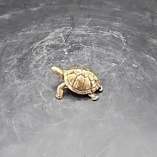 Miniature 1.5" Brass Box Turtle