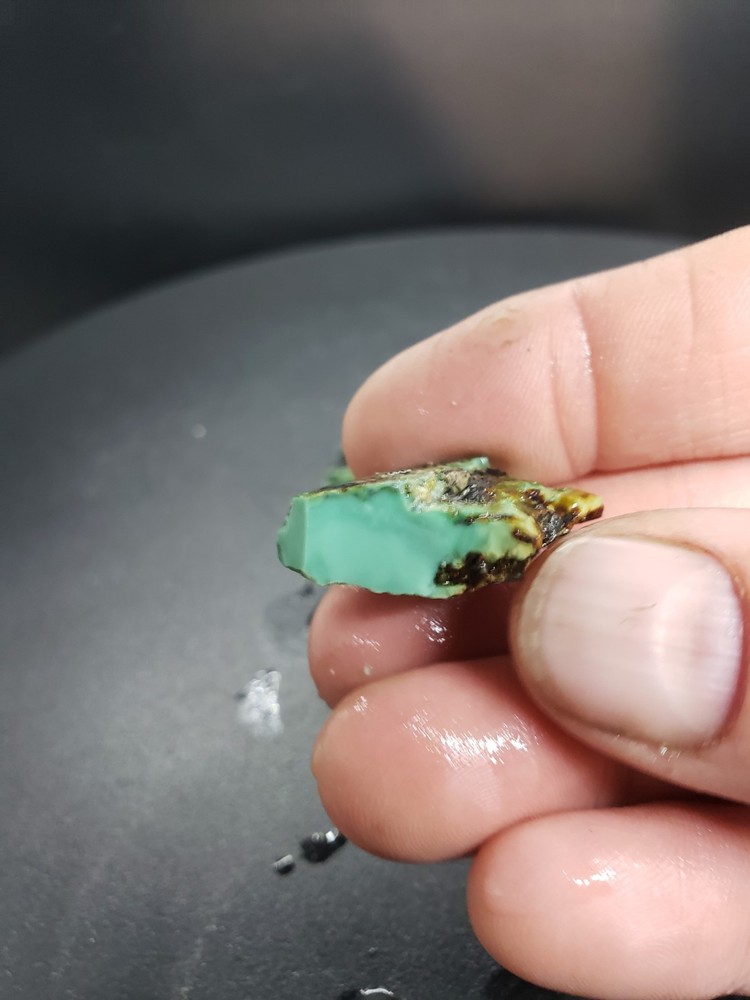 Nevada San Pedro Variscite Rough 88 Grams