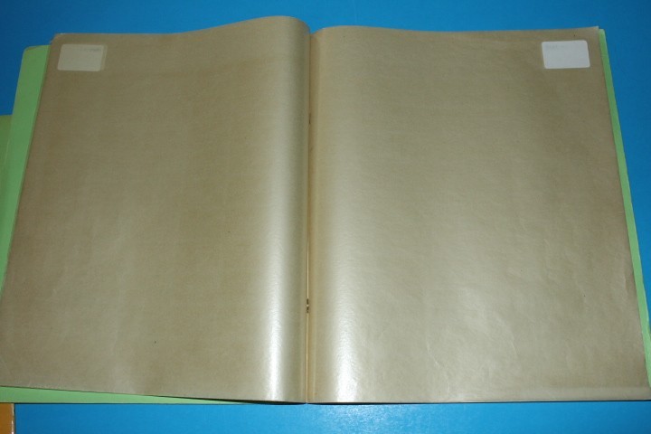 White Ace Mint Sheet File Capacity 14 pgs 1 pocket 12" x 9.75" BlueLakeStamps