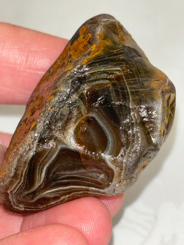 1.2 Ounce agate with Limonite husk