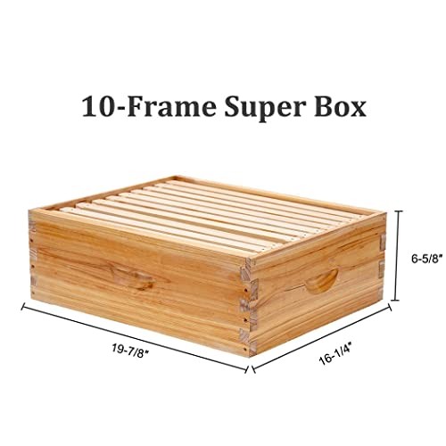 10-Frames Complete Beehive Kit, 100% Beeswax Coated Bee Hive Includes Beehive