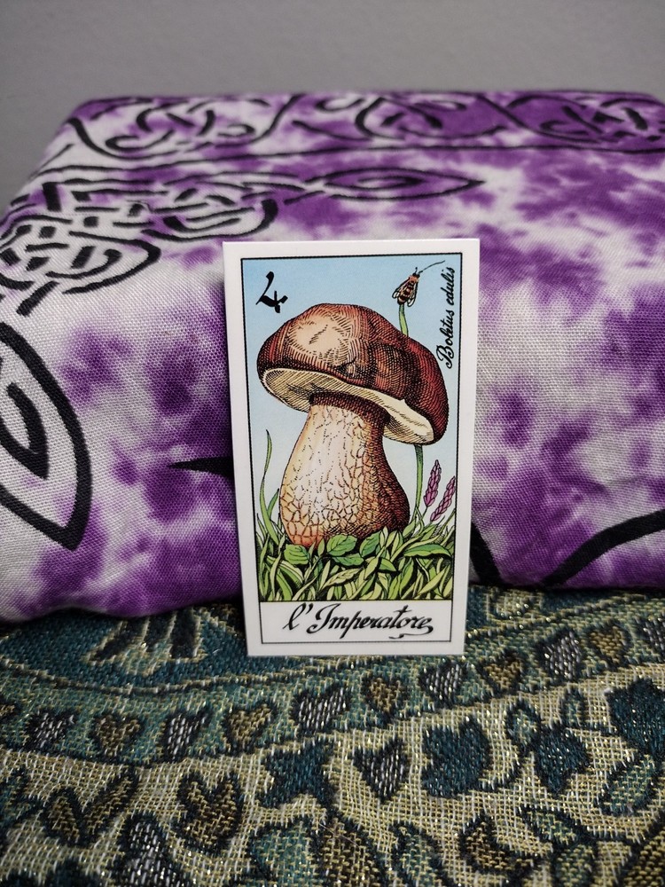 Fungus Tarot by Meneghello 1987