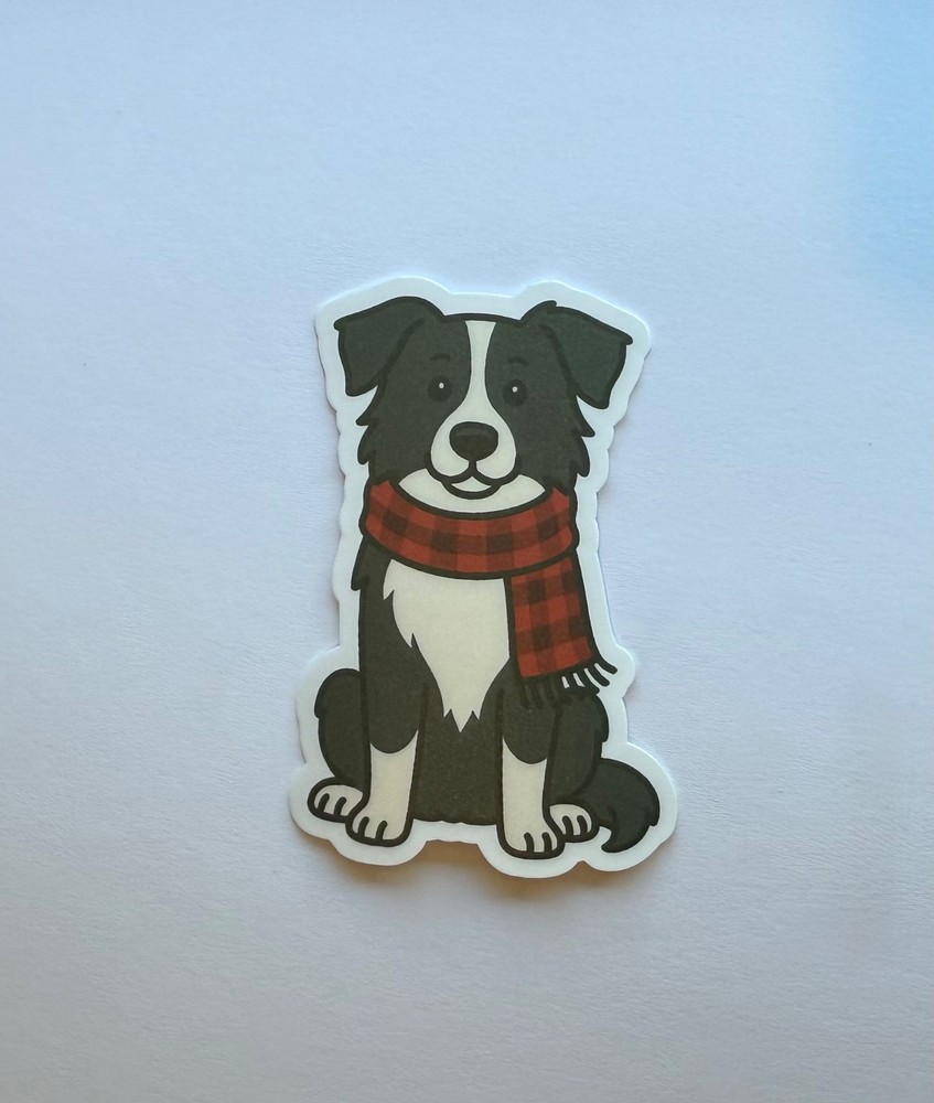 Border Collie in Scarf Sticker