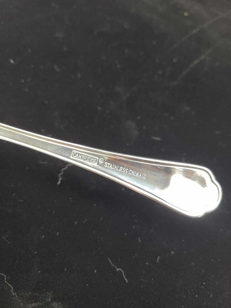 Cambridge ROOSTER Stainless Frost Handle Glossy Silverware Flatware CHOICE