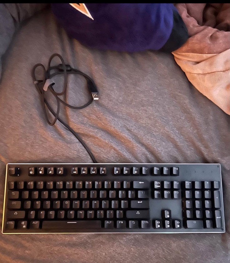 Gaming Keyboard (Clicky Keys)