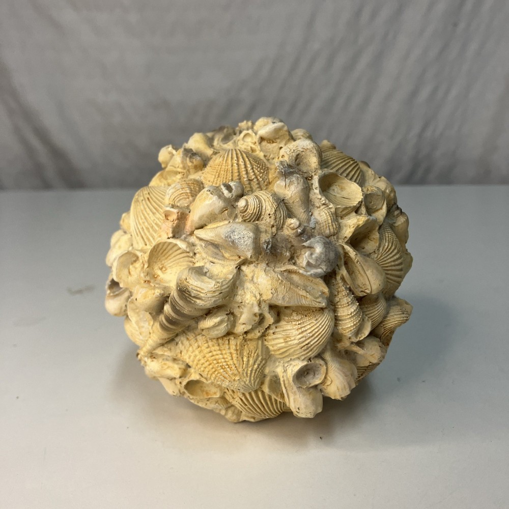 Authentic Sea Shells Round Orb Home Decor 4”x4” Beach Nautical