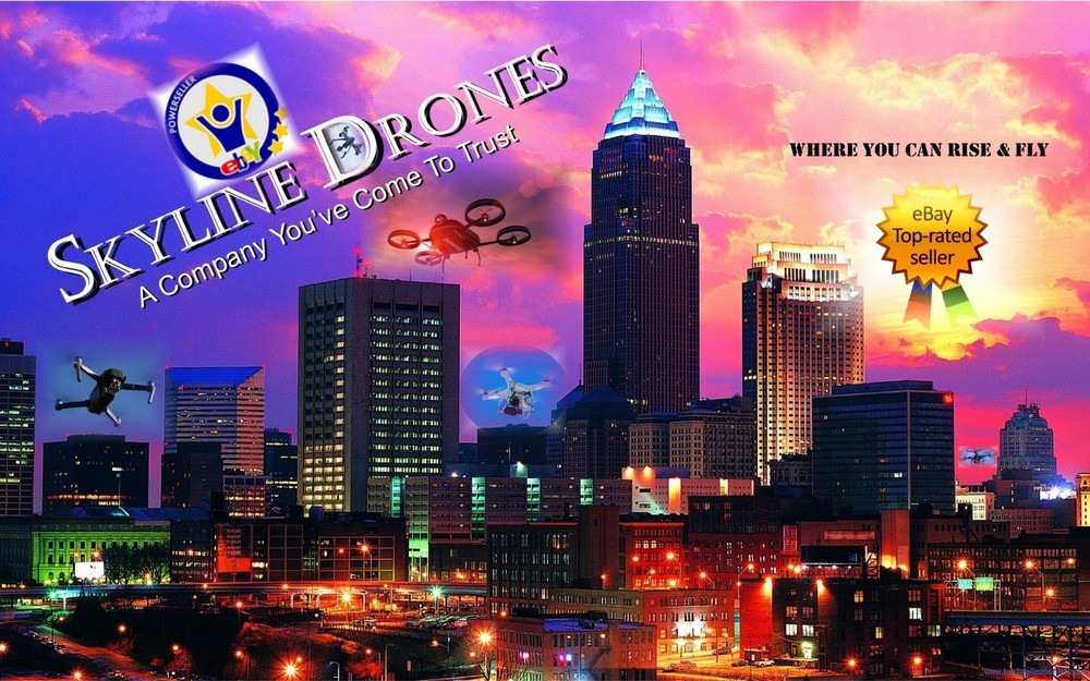 PARROT BEBOP 1 Central Cross Frame Includes Center Plate & Screws