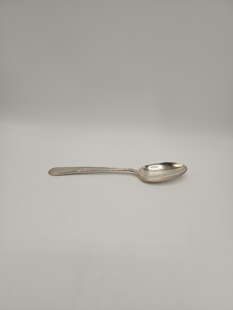 International Silver "Youth" 8 1/2 Inch Serving Spoon