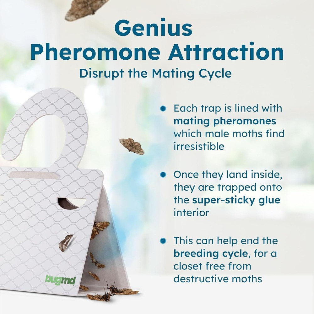 6 Count Clothes & Pantry Moth Traps - Safe & Effective Non-Toxic Solution