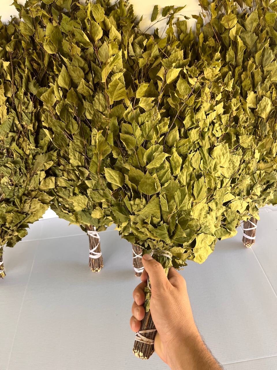 24 Birch brooms NEW SEASON 2025 sauna banya venik Eiche whisks eco Ukrainian