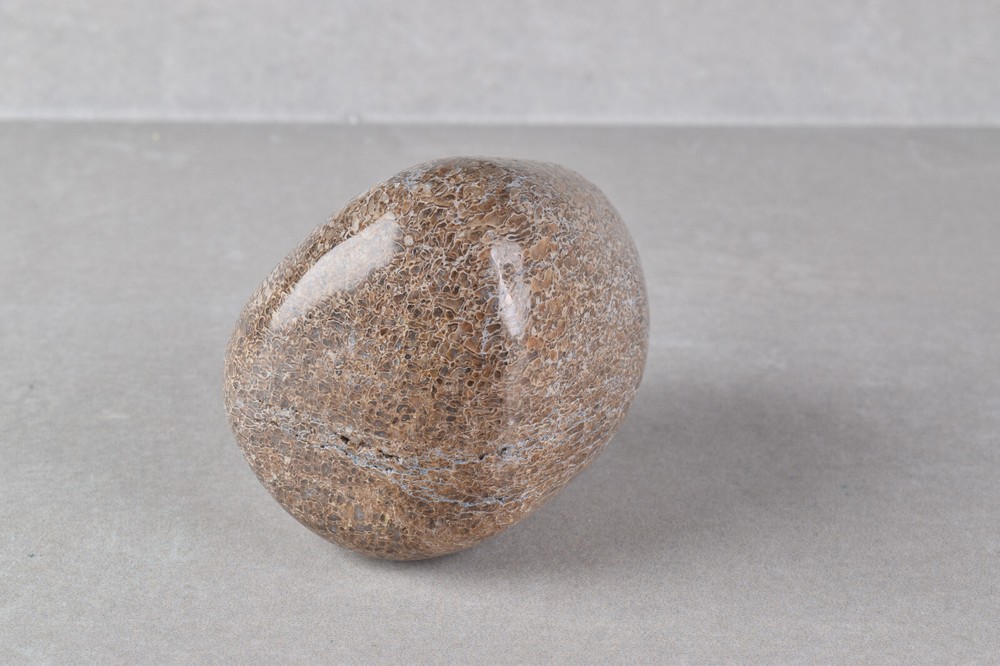 Fossilized Dinosaur Bone Polished from Morocco 4.6 cm # 19754