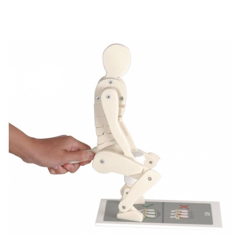 ESP Safe Lifting Training Mannequin, Brand New ergonomics training model