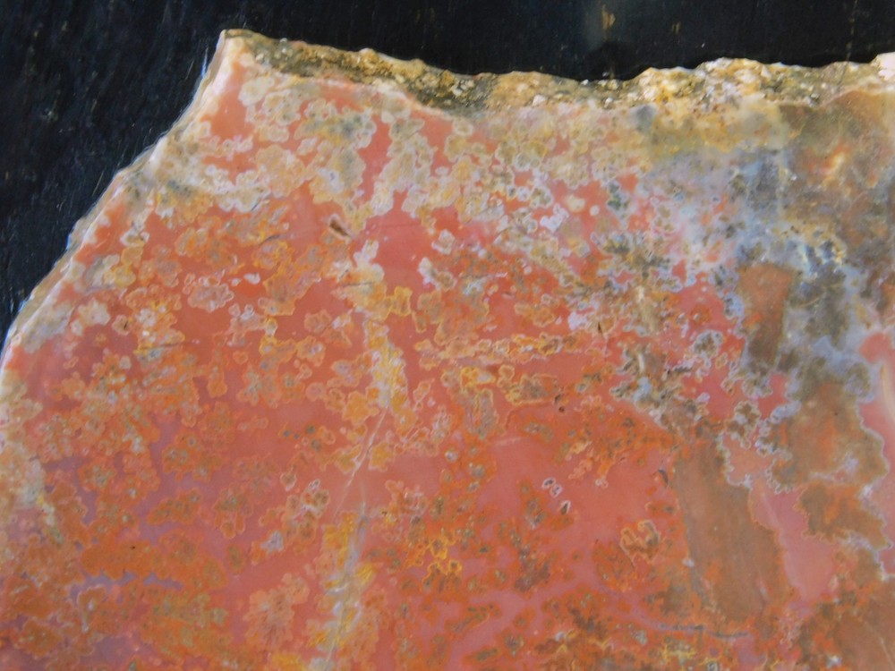 unknown Plume Agate lapidary cabbing slab 4mm thick