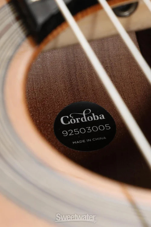 Cordoba Fusion Orchestra CE Nylon String Acoustic Guitar - Cedar