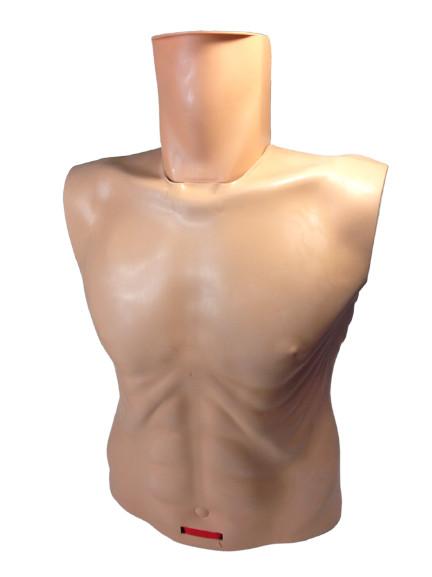 Ambu training CPR manikins With Hygienic System