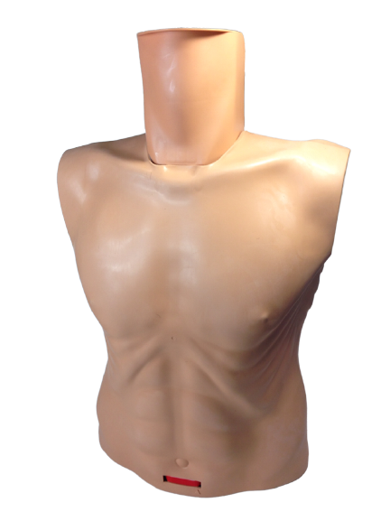 Ambu training CPR manikins With Hygienic System