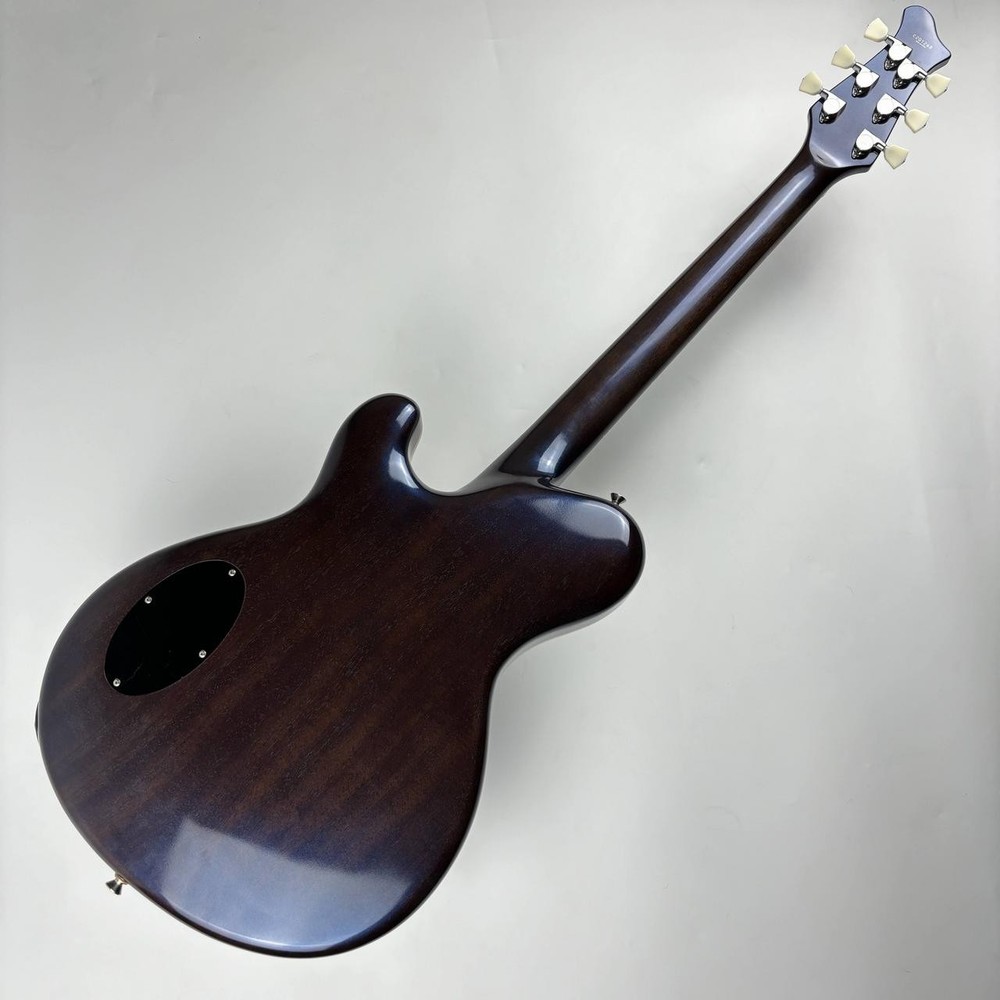 RYOGA CICADA-G2 TPI (no260319)