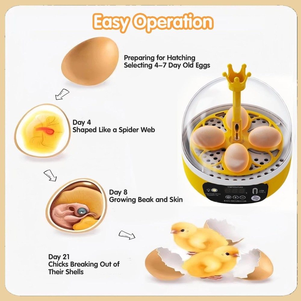 4 Eggs Mini Incubator with Transparent Lid,7W Automatic Temperature Humidity ...