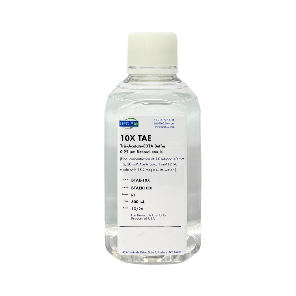 10X TAE Buffer 500mL - Sterile, 0.22um Filtered