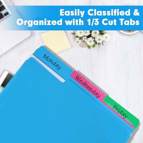 File Folder, 250 Pack 1/3 Cut Tab Colored Folders, Colored File Folder Letter