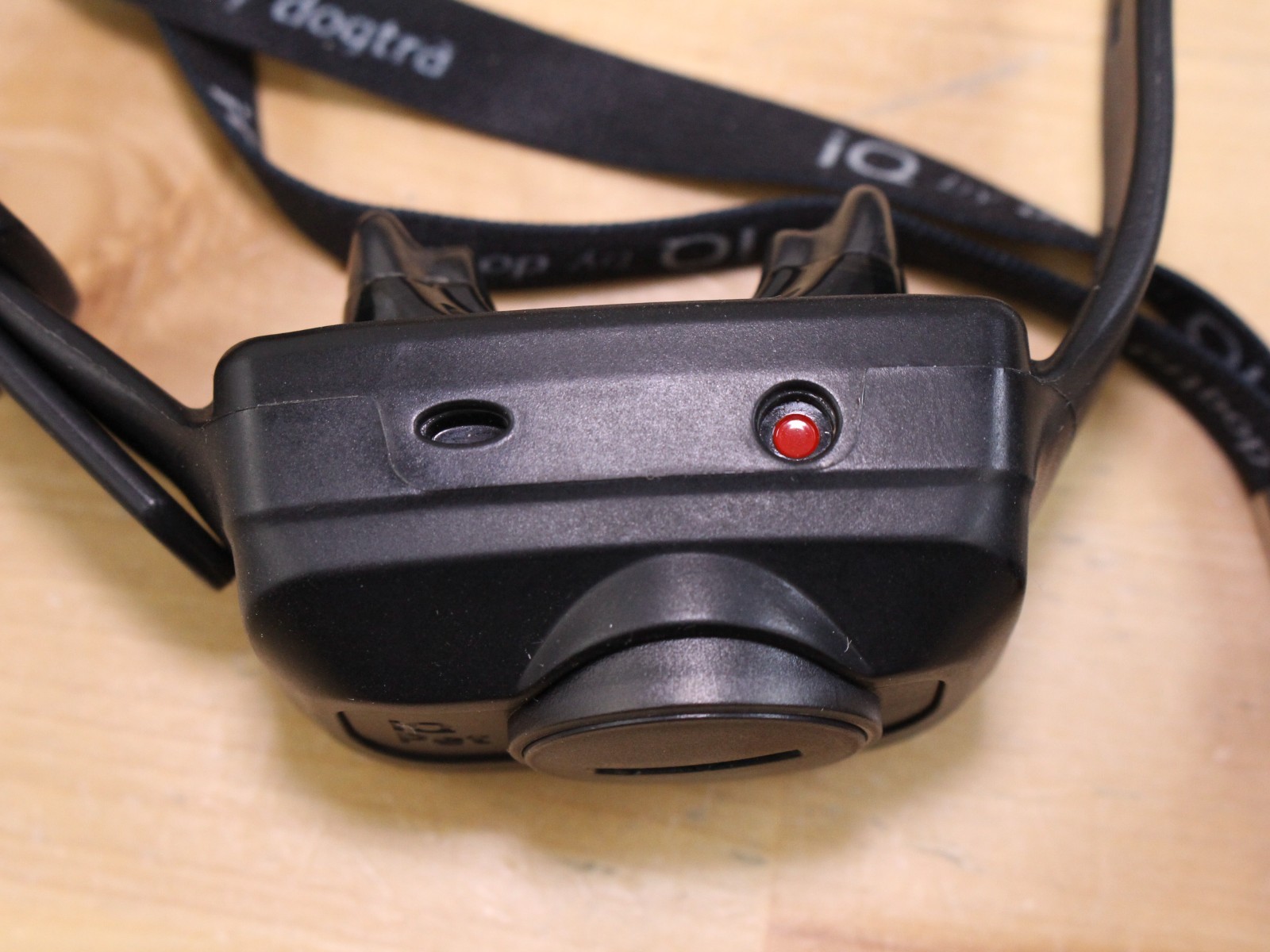 Dogtra IQ CliQ Dog Training Collar with Remote Clicker